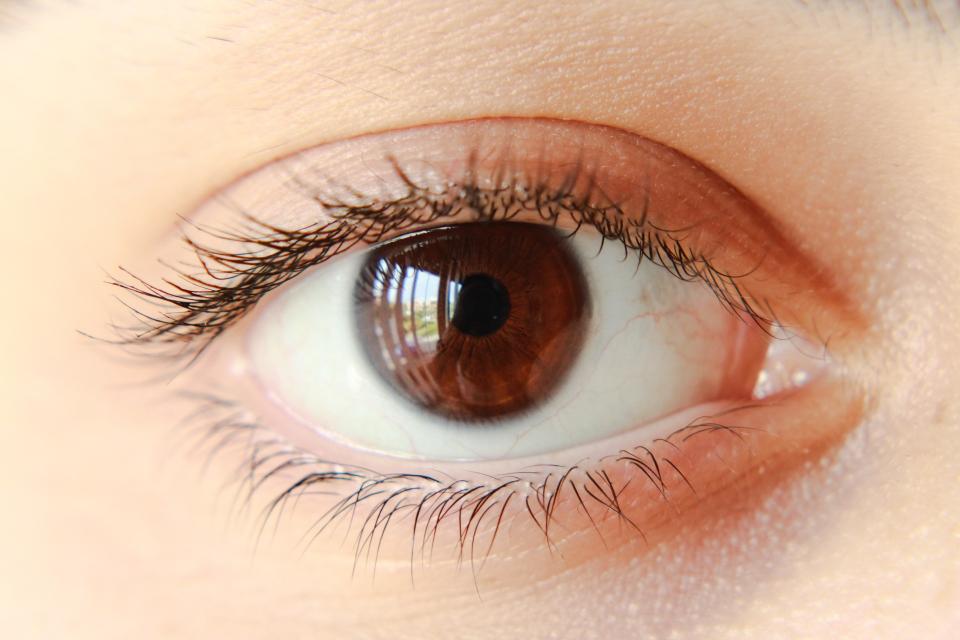 9歲男童視力受損，未來恢復可能性只有50%。（示意圖／pixabay）