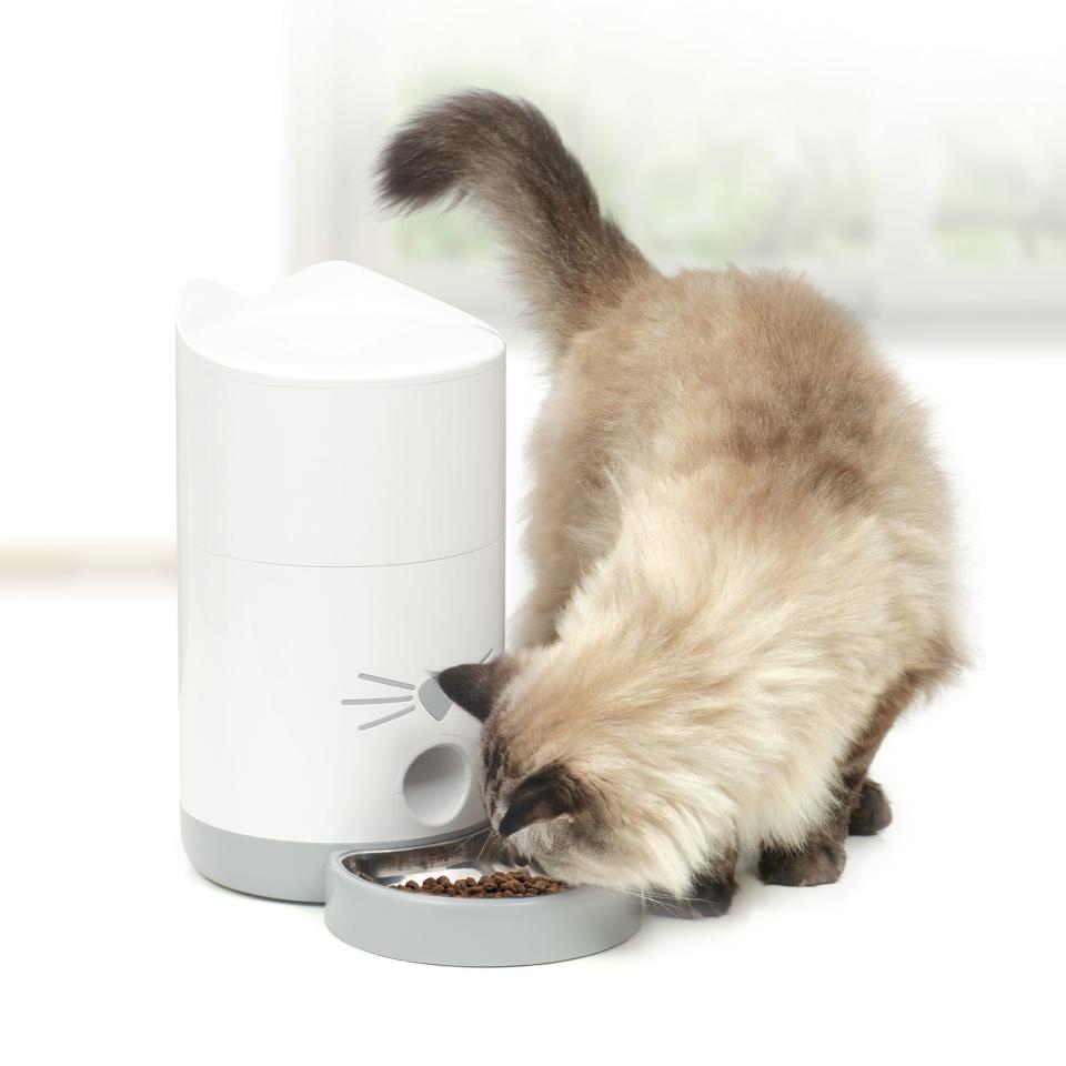 Set Pixi Smart Feeder to automatically feed your feline friend.