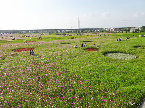 桃園花彩節-楊梅場32.jpg