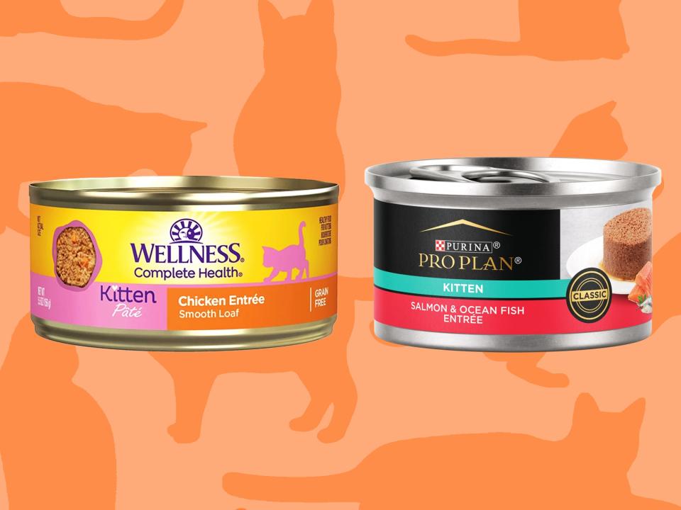 Two cans of Wellness and Purina kitten food against an orange background patterned with cat silhouettes.