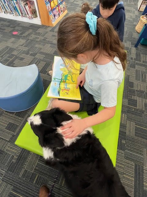 Cricket, a border collie with Bayou Buddies Pet Therapy listens to a student read at the Episcopal Elementary School library.