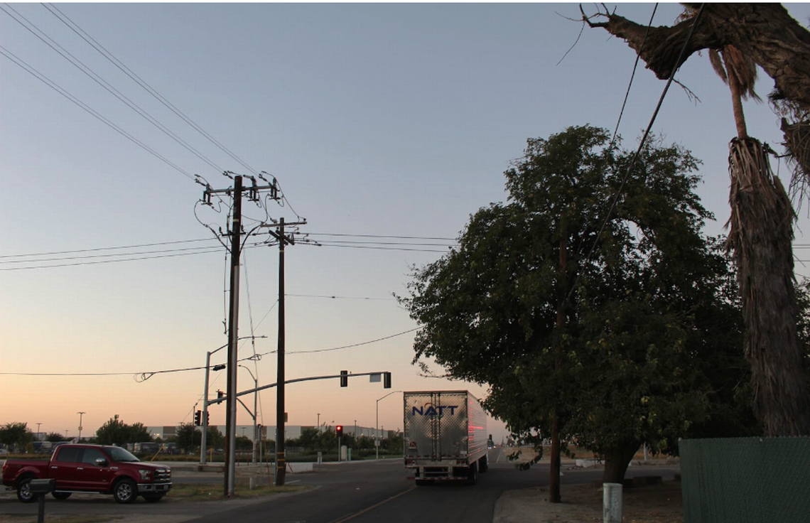 A truck passes by Ms. Katie’s mulberry tree at the corner of Central and Orange Avenues.