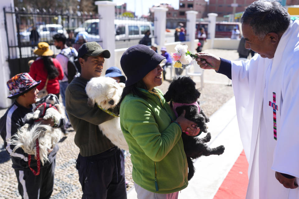 El párroco católico Justino Limachi bendice a los perros con agua bendita en una misa en la iglesia del Cuerpo de Cristo por las celebraciones del día de San Roque, considerado el santo patrón de los perros, en El Alto, Bolivia, el miércoles 16 de agosto de 2023. (AP Foto/Juan Karita)