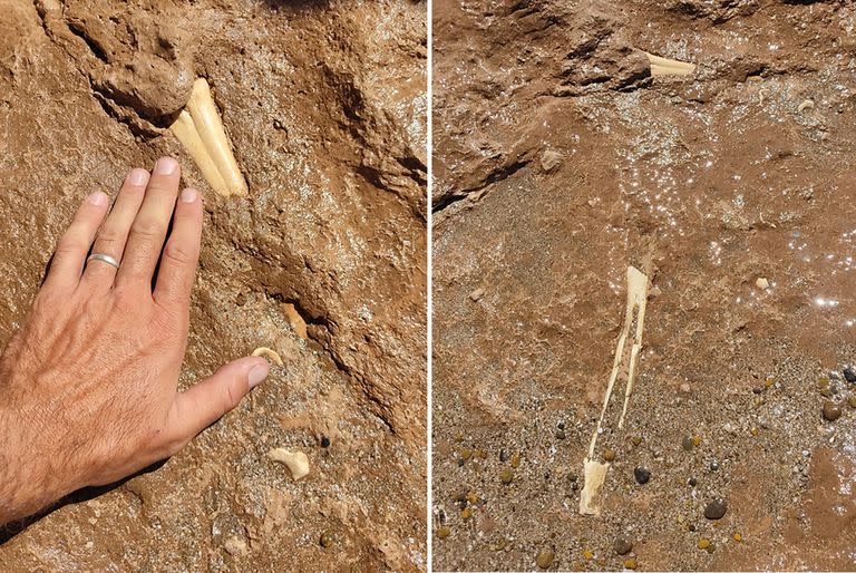 Hallazgo arqueológico en chapadmalal