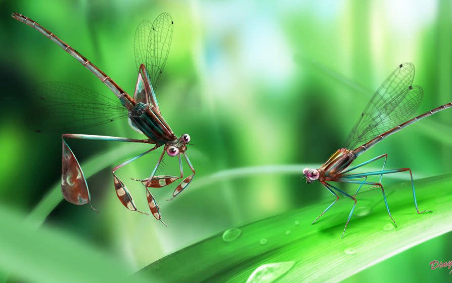 An artist's impression of the moments leading up to the insect's death - Credit: Daran Zheng