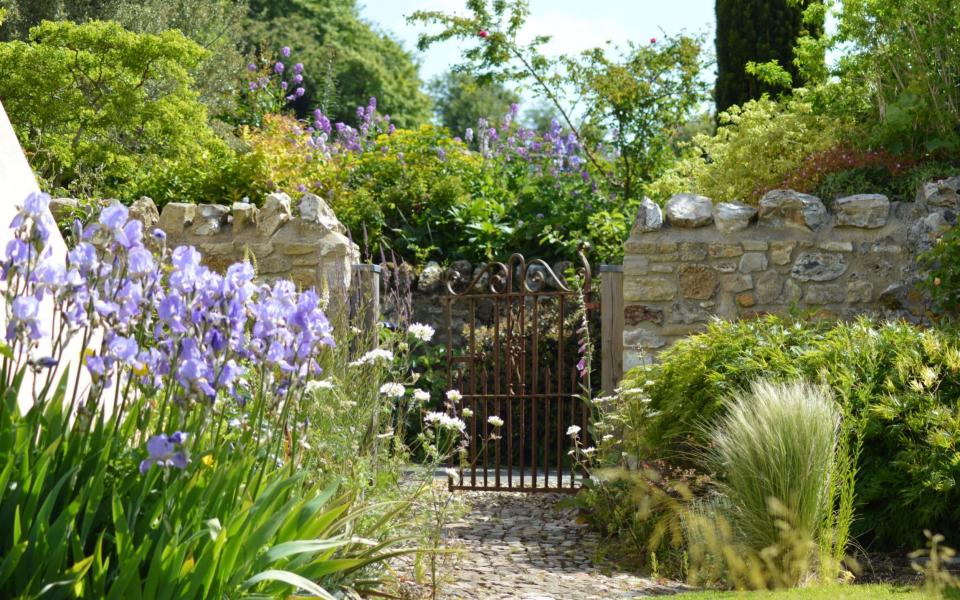 Cleave Hill, an NGS garden in Devon - NGS