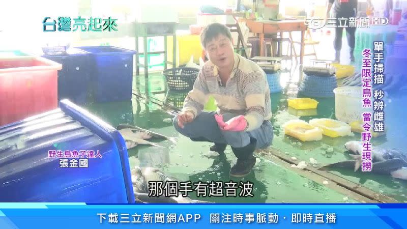 張金國能單手辨別烏魚子的雌雄、重量。