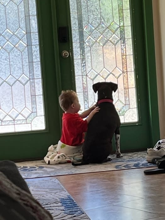 A small child in a red shirt sits on a blanket next to a black dog, looking out through a glass door. The child gently touches the dog's back