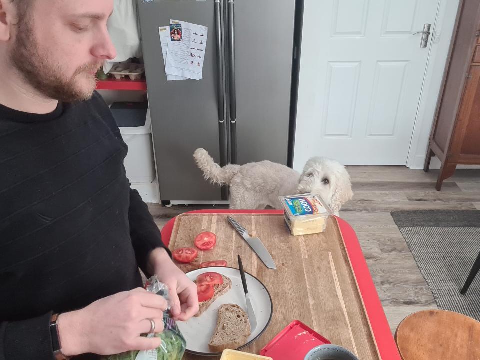 twitch exec lewis mitchell makes a sandwich for lunch while his dog looks on