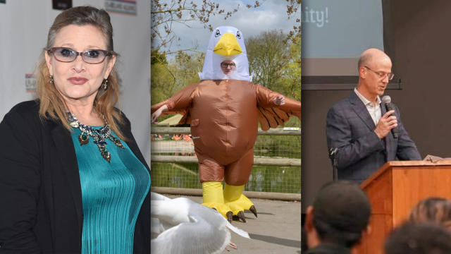 Zoo seeking 'seagull deterrents' to wear giant bird costumes, scare  seagulls 