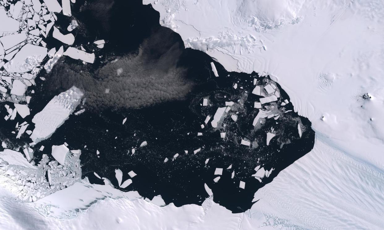 <span>A satellite image of ice-pack breakup at the mouth of the Pine Island glacier in Antarctica.</span><span>Photograph: Planet Observer/Universal Images Group/Getty Images</span>