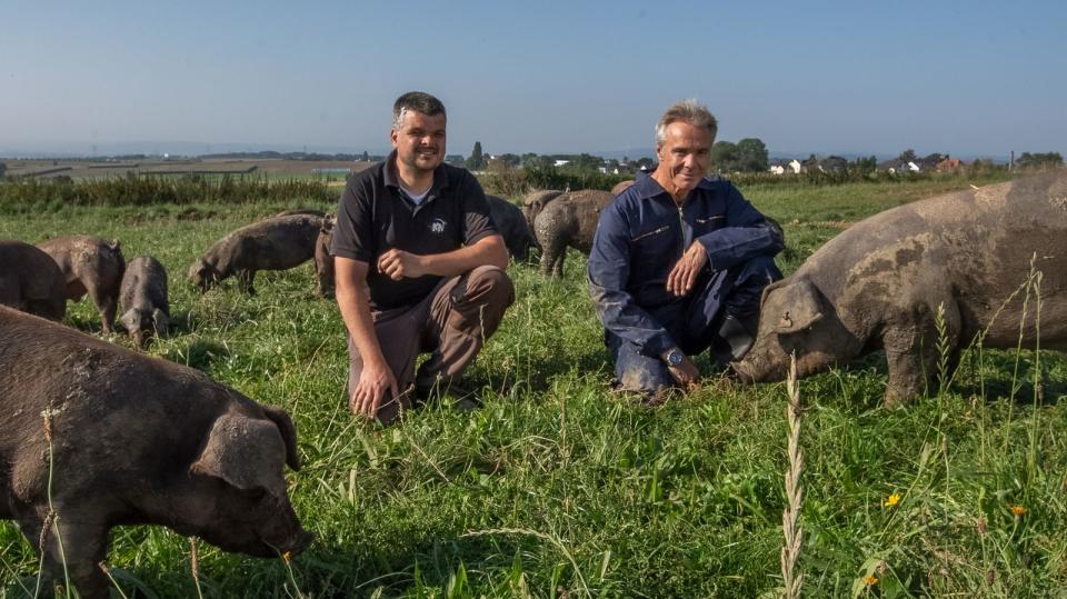 Auf Hof Birkeneck trifft Hannes Jaenicke (rechts) Schweinehalter Manuel Schneider und seine Freiland Duroc Schweine. Die Doku beweist: eine andere Haltung der Tiere ist möglich - und nötig. (Bild: ZDF / Moritz Geiger)