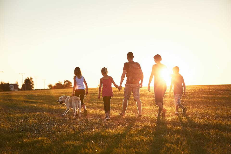 Vacaciones en el campo. Siluetas de una familia caminando en la pradera al atardecer. Foto: Getty Images. 