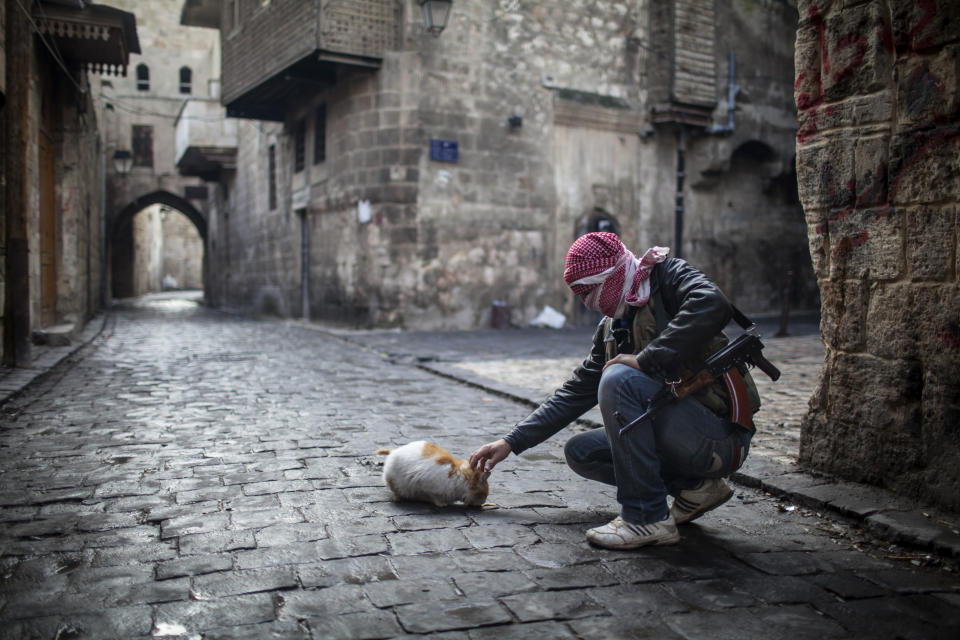 FILE - In this Sunday, Jan. 6, 2013 file photo, A Free Syrian Army fighter feeds a cat bread in the old city of Aleppo, Syria. Syria’s uprising was not destined to be quick. Instead, the largely peaceful protest movement that spread across the nation slowly turned into an armed insurgency and eventually a full-blown civil war. More than 130,000 people have been killed, and more than 2 million more have fled the country. Nearly three years after the crisis began, Syria's government and opposition are set to meet in Geneva this week for the first direct talks aimed at ending the conflict. (AP Photo/Andoni Lubaki, File)