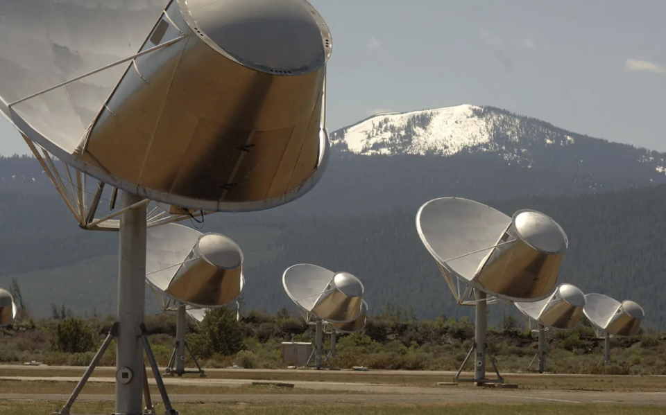 Das Allen Telescope Array, das speziell für funkbasierte SETI-Projekte entwickelt wurde. - Copyright: Seth Shostak/SETI Institute