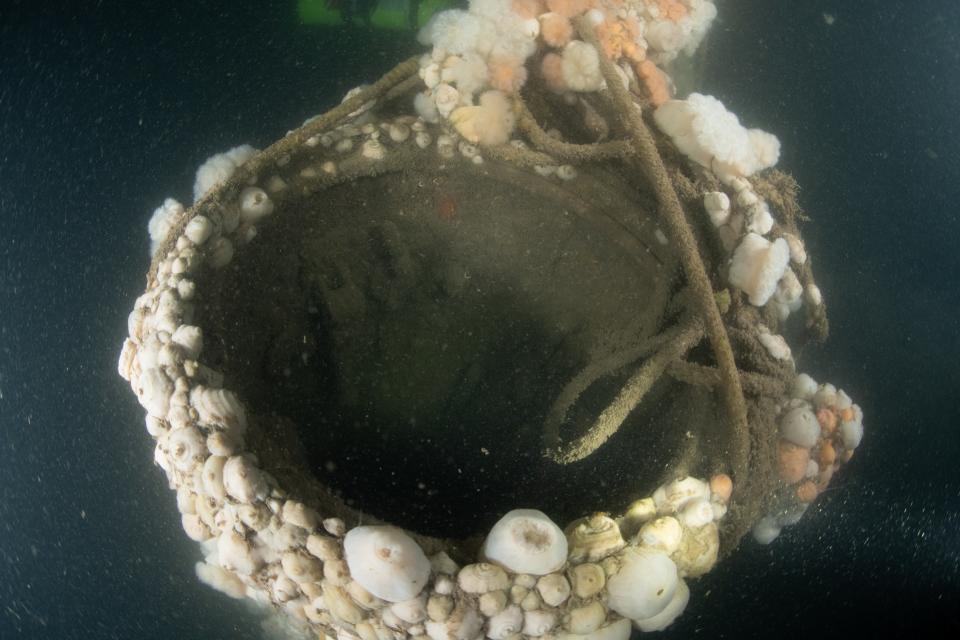 Encrusted with seashells: D1’s conning tower is still intact 100 years after the historic submarine was scuttled.Tim Wallis