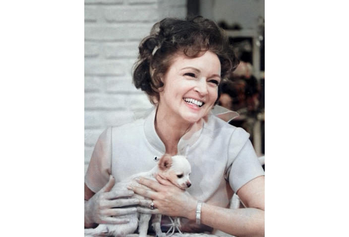 This colorized image released by Margate And Chandler, Inc. shows actress and animal activist Betty White with a puppy from her 1970s series “The Pet Set." The restored 39-episode series, renamed "Betty White’s Pet Set,” features celebrity guests Mary Tyler Moore, Carol Burnett, Burt Reynolds, James Brolin and Della Reese. (Margate And Chandler, Inc. via AP)