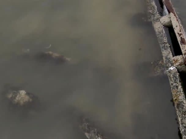 PHOTO: The remains of the W.E. Marsh No. 4, a 120-year-old boat, are visible in Utah's Great Salt Lake Park. (KTVX)