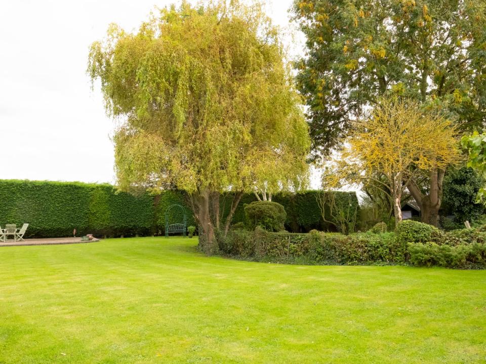 standard monoculture backyard with lots of shrubs and greenery