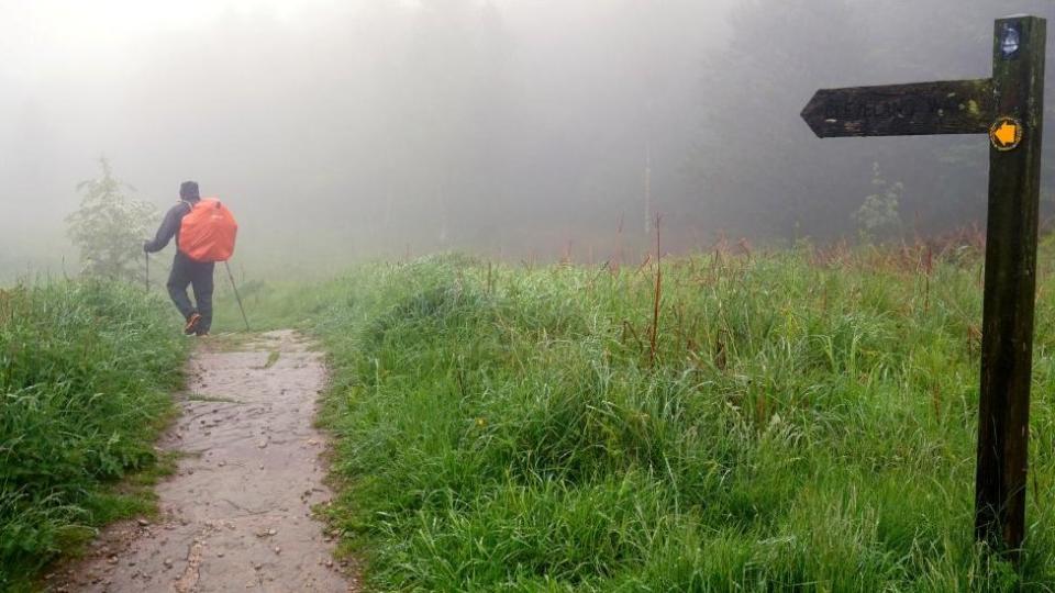 Walker on rural path covered with mist