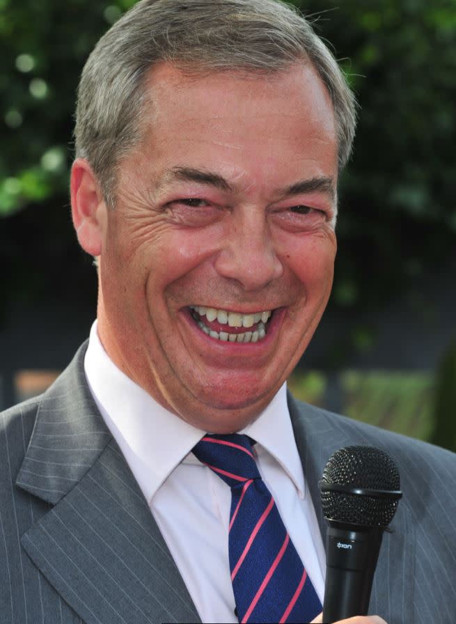 Former UKIP leader Nigel Farage (Rex) 