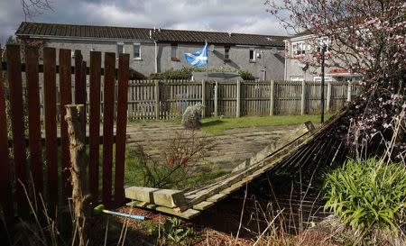 Scotland's flag, the Saltire, flies outside a home in Kilmarnock, Scotland March 27, 2014. REUTERS/Suzanne Plunkett