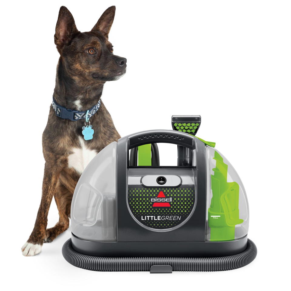 <p><a href="https://go.redirectingat.com?id=74968X1596630&url=https%3A%2F%2Fwww.walmart.com%2Fip%2FBISSELL-Little-Green-Portable-Carpet-Cleaner-3369%2F271925562&sref=https%3A%2F%2Fwww.womenshealthmag.com%2Flife%2Fg43909197%2Fwalmart-national-pet-month-sale-may-2023%2F" rel="nofollow noopener" target="_blank" data-ylk="slk:Shop Now;elm:context_link;itc:0;sec:content-canvas" class="link ">Shop Now</a></p><p>Little Green Portable Carpet Cleaner</p><p>$99.00</p><p>walmart.com</p>