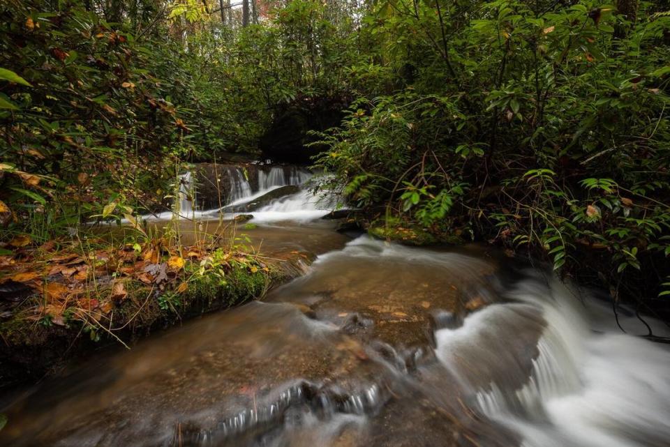 This creek has been restored as a trout stream. It is below the site of a legendary bar, Burrells Place, a landmark for mountain travelers in South Carolina. Photo courtesy Naturaland Trust