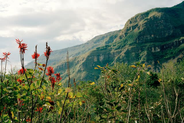 <p>João Canziani</p> The view from the main lodge of Gocta Natura Reserve.