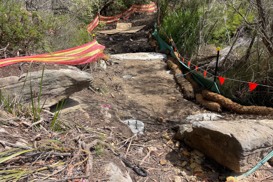 A red-bellied blacksnake is pictured in the foreground on a path at Manly Dam.