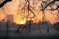 LONDON, ENGLAND - DECEMBER 12: A man walks his dog through the early morning frost in Regents Park on December 12, 2012 in London, England. Forecasters have warned that the UK could experience the coldest day of the year so far today, with temperatures dropping as low as -14C, bringing widespread ice, harsh frosts and freezing fog. Travel disruption is expected with warnings for heavy snow in some parts of the country. (Photo by Dan Kitwood/Getty Images)