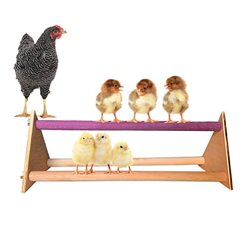 13) Chicken Wood Stand