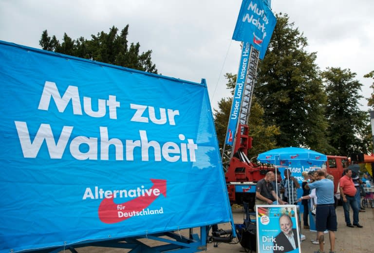 The anti-immigration AfD party saw an upsurge in popularity after Germany's massive refugee influx, but support has waned