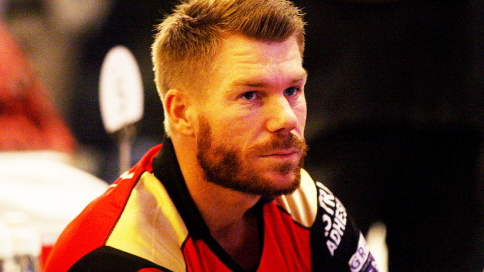 David Warner, pictured here during a Sunrisers Hyderabad game in the IPL.