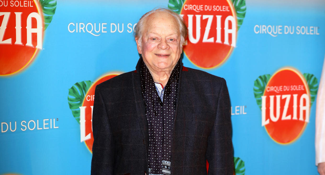 Sir David Jason attends Cirque du Soleil's "LUZIA" at Royal Albert Hall on January 15, 2020 in London, England. (Photo by Tim P. Whitby/Getty Images)