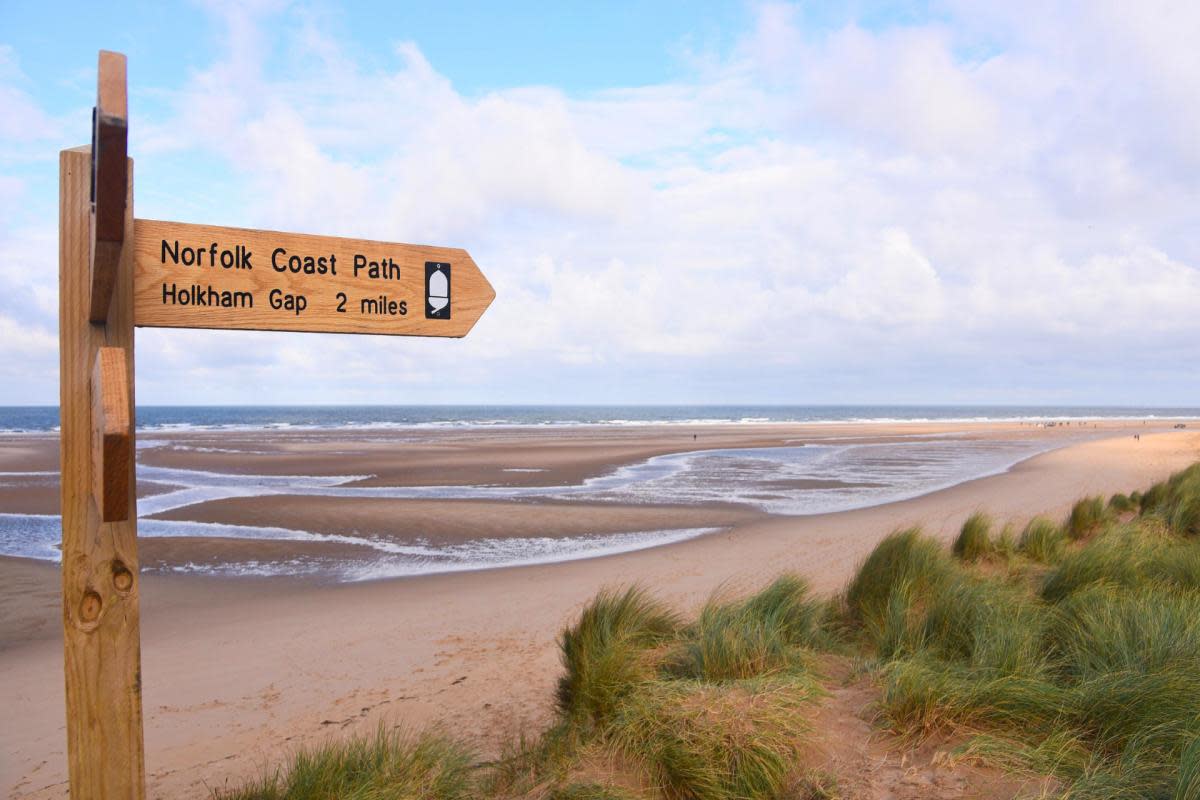 Holkham Beach was named the second best beach in the UK by TimeOut <i>(Image: Ian Burt)</i>