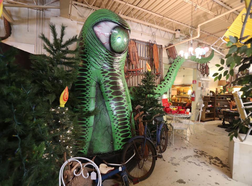 A sea creature on display at The Bomb Shelter in Akron.