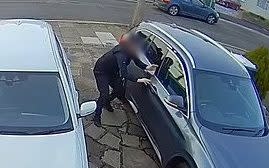 An opportunistic thief stole a pensioner’s BMW with her pet dog still inside