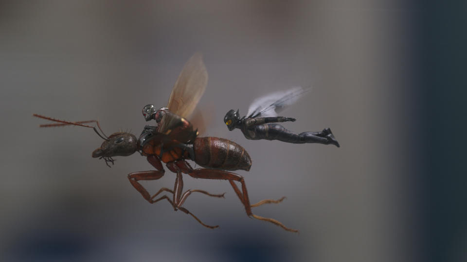 Ant-Man and the Wasp in Ant-Man and the Wasp