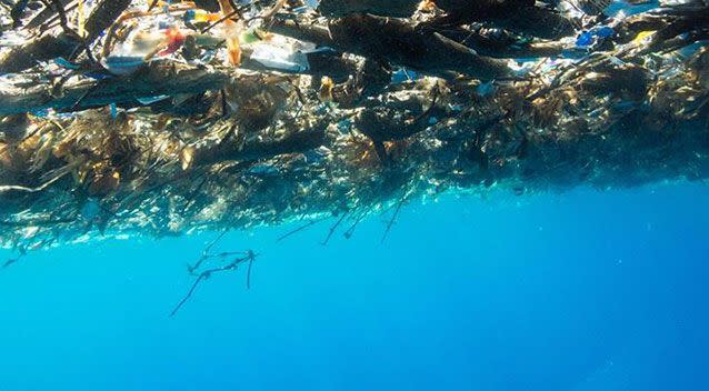 The photographer has challenged people to think about how much plastic they use. Source: Caroline Power Photography