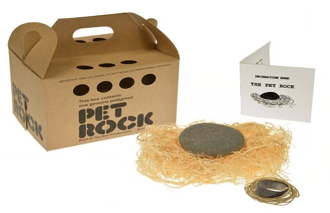 ‘Pet Rock’ la piedra mascota que convirtió en millonario a Gary Dahl (imagen vía amazon)