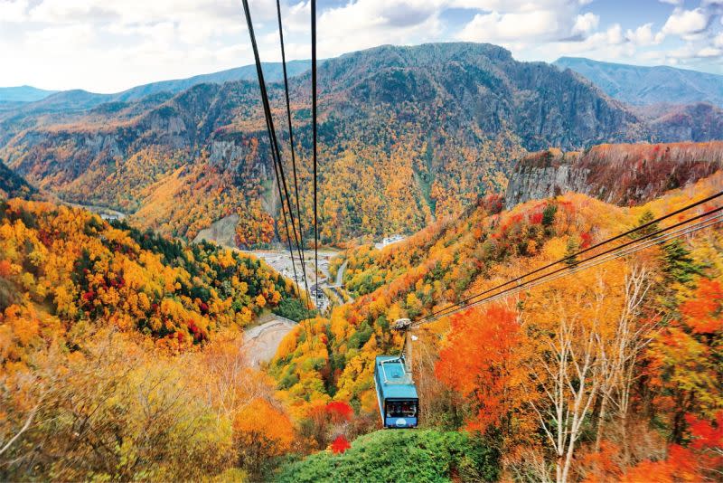 ▲下半年旅遊熱潮將從賞楓開始，北海道道東地區能搭乘空中纜車，俯瞰岩壁上繽紛的紅葉景緻。（圖／易飛網提供）