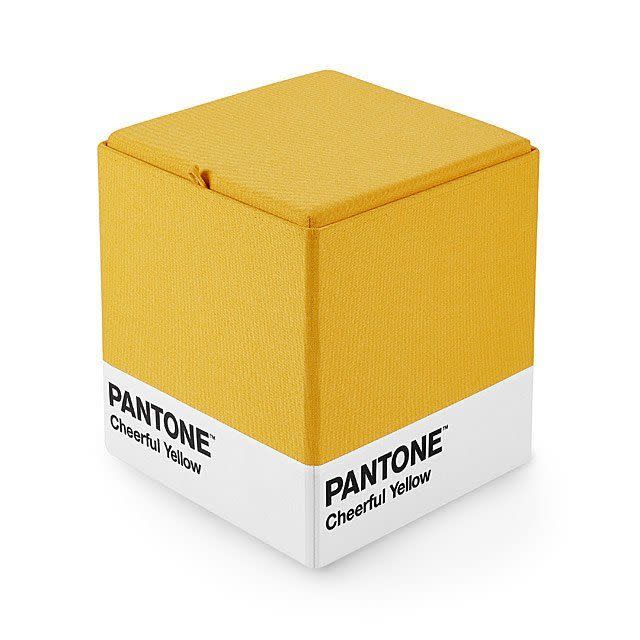 Pantone Storage Bin