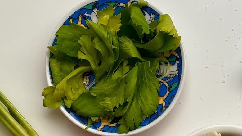 celery leaves on blue plate