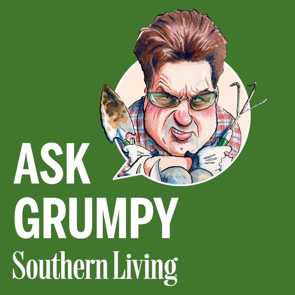 <p>Southern Living </p> Grumpy Gardener Podcast 