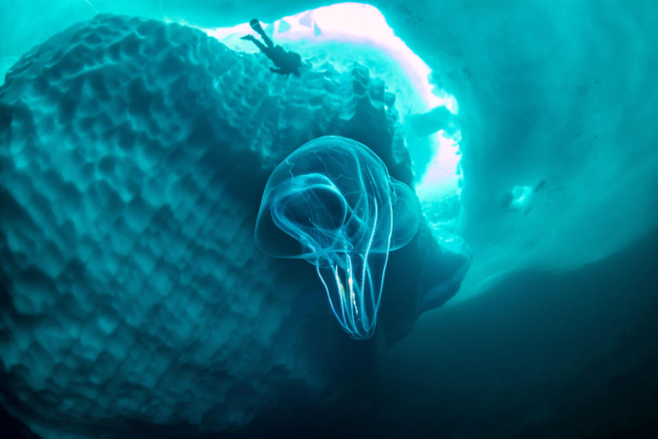 Stunning photos show ice dive beneath giant iceberg