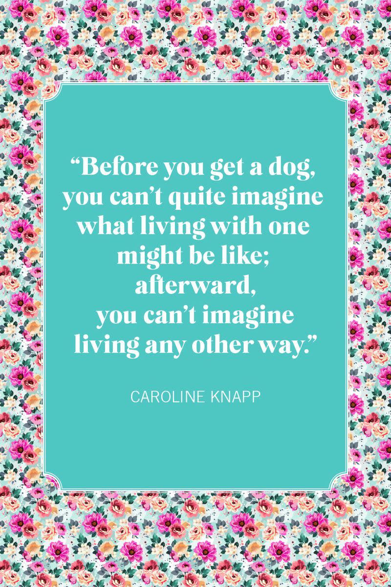 dog mom quotes knapp