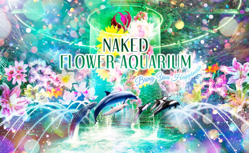 東京旅遊｜Maxell AQUA PARK x Naked打造花花數位藝術水族館！海豚與花共舞、海底森林沉浸式體驗區