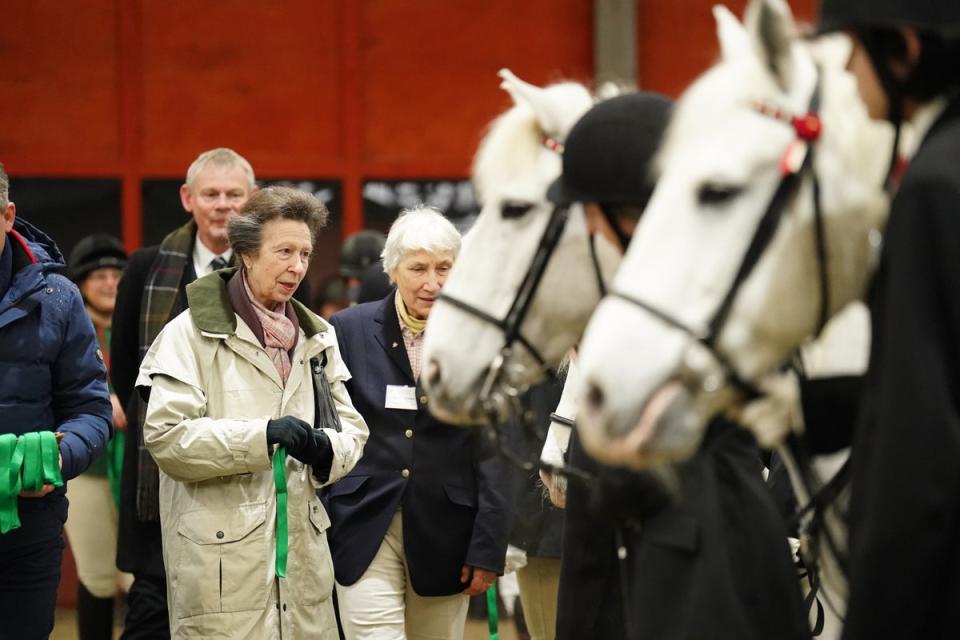 The Princess Royal during a visit to Wormwood Scrubs Pony Centre in February 2024 (Getty Images)