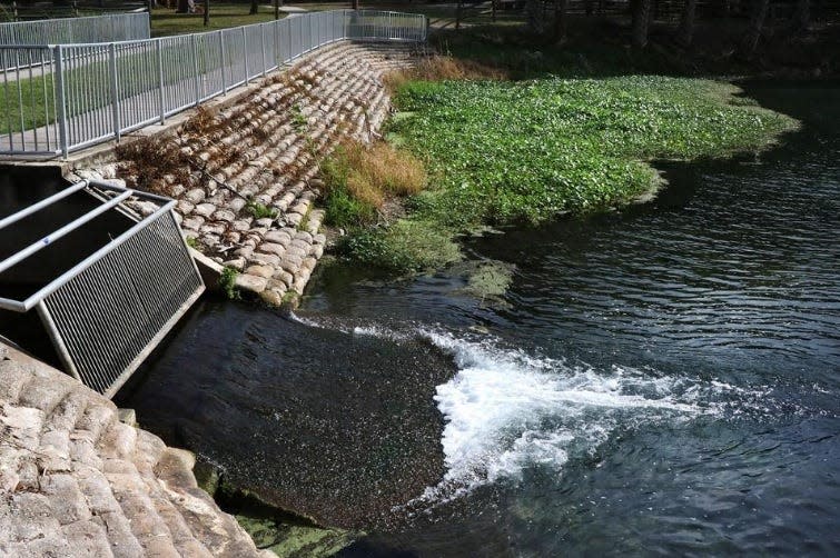 Water flows over a weir at Gemini Springs in DeBary. Traces of algae along the edge worsen with higher nitrate levels.